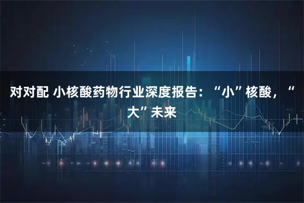 对对配 小核酸药物行业深度报告：“小”核酸，“大”未来