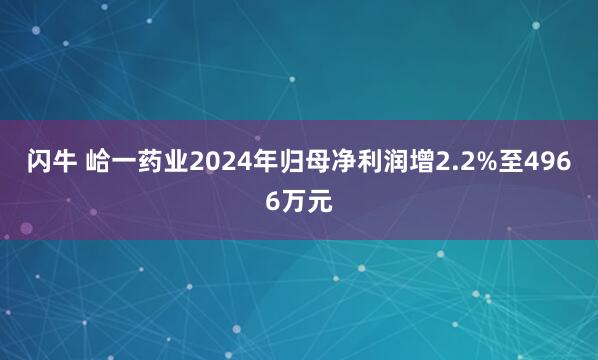 闪牛 峆一药业2024年归母净利润增2.2%至4966万元